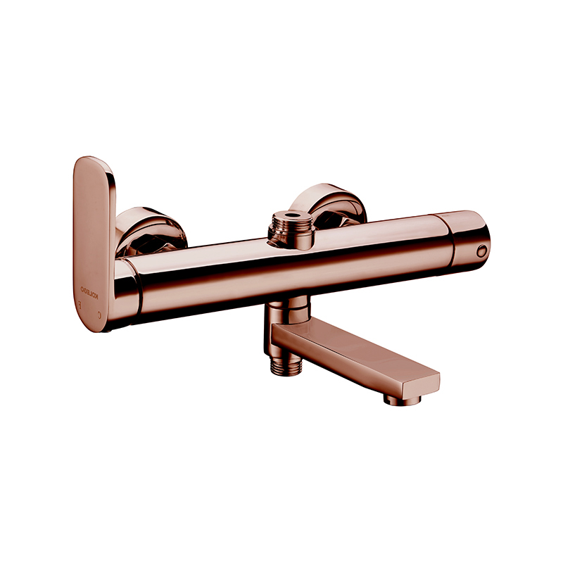 صنبور عمود دش مثبت على الحائط من الفولاذ المقاوم للصدأ