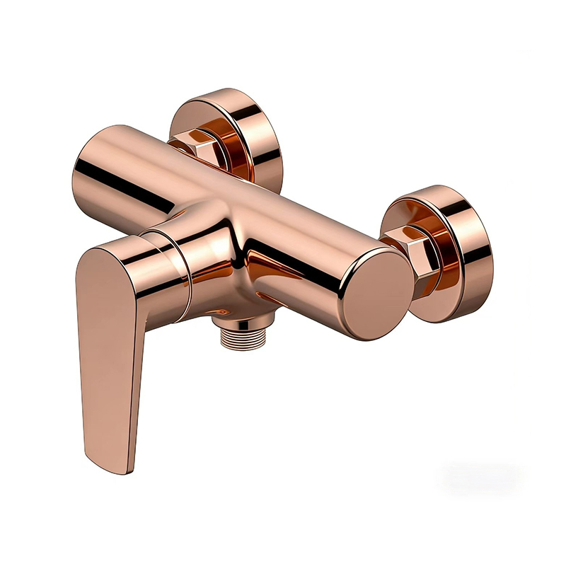 صنبور بمقبض واحد من الفولاذ المقاوم للصدأ من سلسلة TONGQC35SS