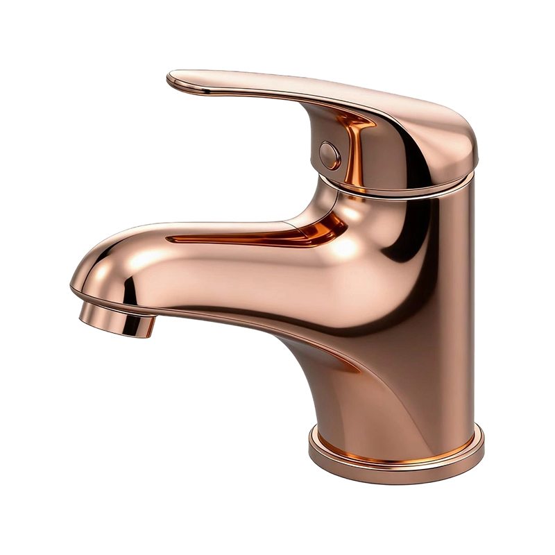 صنبور بيديه من الفولاذ المقاوم للصدأ من سلسلة DIWANGH40SS