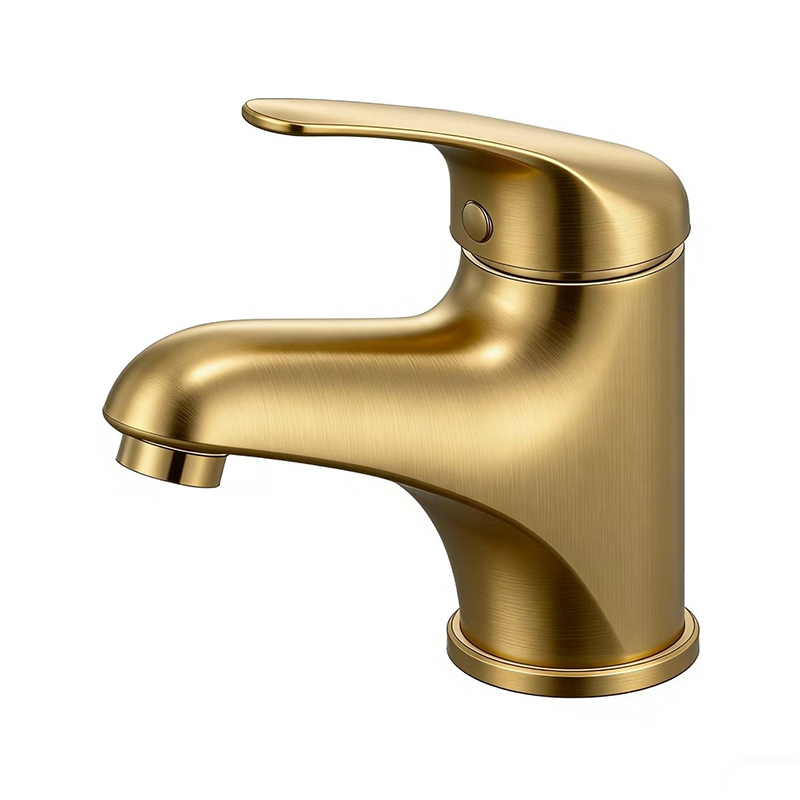 صنبور بيديه من الفولاذ المقاوم للصدأ من سلسلة DIWANGH40SS